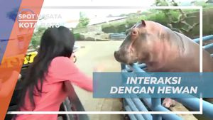 Memberi Makan Satwa Liar Dengan Berkeliling Menggunakan Kendaraan di Kota Batu  