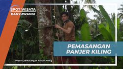 Mengajak Selebriti Memasang Panjer Kiling di Banyuwangi yang Indah  