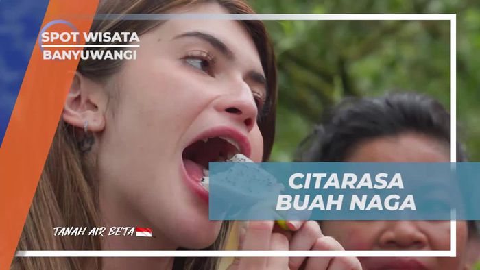 Menikmati Rasa Manis dan Segar Buah Naga yang Dikupas di Banyuwangi  