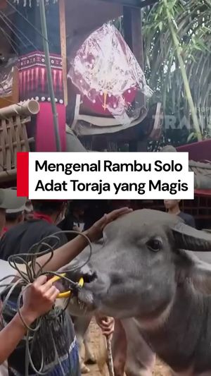 Video Mengenal Rambu Solo, Adat Toraja yang Diduga Dilecehkan Pandji Pragiwaksono