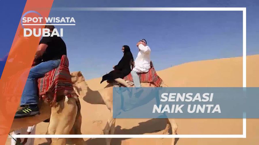 Menikmati Sensasi Menunggangi Unta Melintasi Gurun Pasir Dubai yang Menakjubkan  
