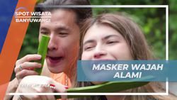 Menggunakan Masker Wajah Alami dari Batang Buah Naga di Banyuwangi  