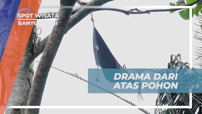 Menghadapi Drama dari Atas Pohon Saat Menyelesaikan Pemasangan Panjer Kiling di Banyuwangi  