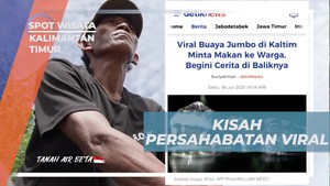Menyebarkan Kisah Persahabatan Buaya Riska yang Viral di Kalimantan Timur