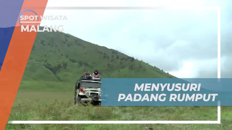 Menyusuri Keindahan Padang Rumput yang Memukau di Malang dengan Mobil Jeep  