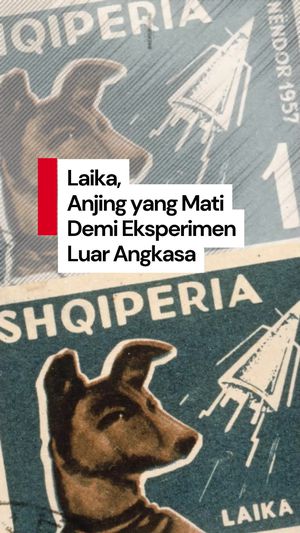 Video: Kisah Tragis Laika, Anjing Pertama yang Mengorbit ke Luar Angkasa