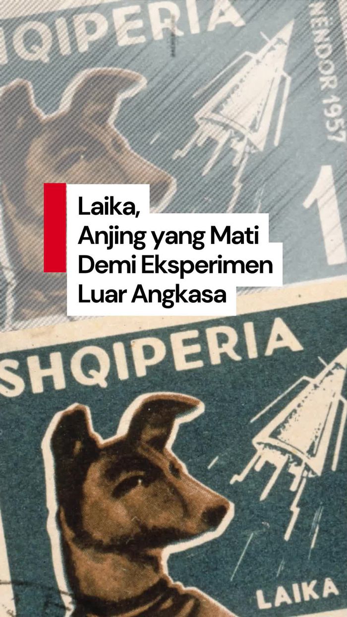Video: Kisah Tragis Laika, Anjing Pertama yang Mengorbit ke Luar Angkasa
