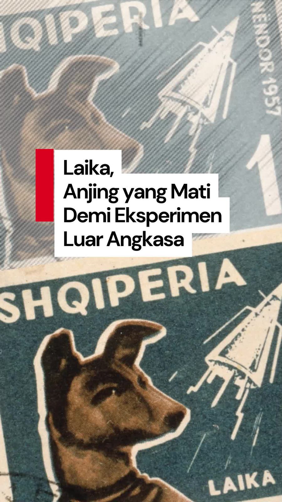 Video: Kisah Tragis Laika, Anjing Pertama yang Mengorbit ke Luar Angkasa