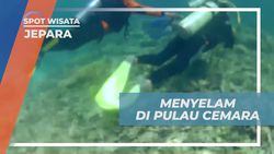 Menyelam dan Menikmati Panorama Laut Jernih di Pulau Cemara, Jepara  