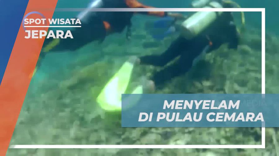 Menyelam dan Menikmati Panorama Laut Jernih di Pulau Cemara, Jepara  
