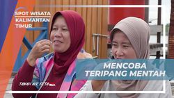Mencicipi Tekstur Kenyal dan Rasa Asin Teripang Mentah Bersama Selebriti di Kalimantan Timur  