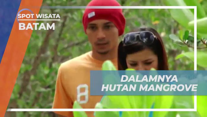 Menyusuri Ujung Jembatan Kayu di Dalam Hutan Mangrove, Batam  