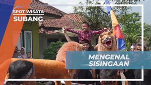 Menyelami Keindahan Sisingaan dan Menyambut Tradisi di Desa Cibuluh, Subang  