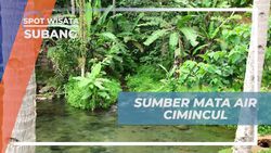 Menjelajahi Keindahan Sumber Mata Air Cimincul dan Rasakan Segarnya Air di Subang