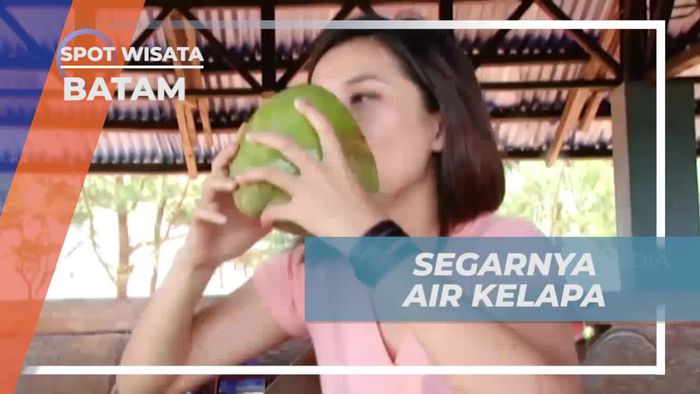 Menyajikan Kesegaran Air Kelapa yang Segar di Batam