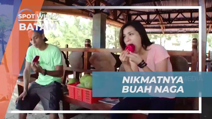 Mencicipi Manis dan Asam Buah Naga Segar di Batam