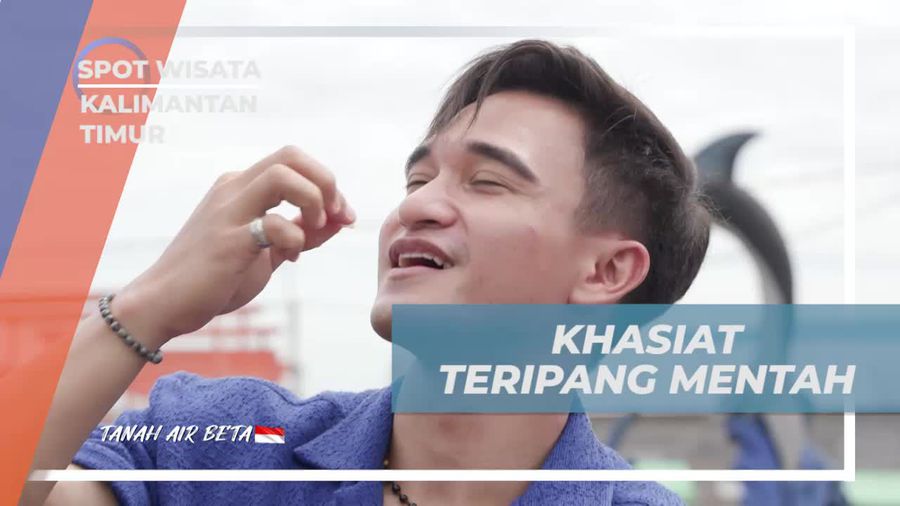 Mengungkap Khasiat Sehat dari Teripang Mentah di Desa Malahing, Kalimantan Timur 