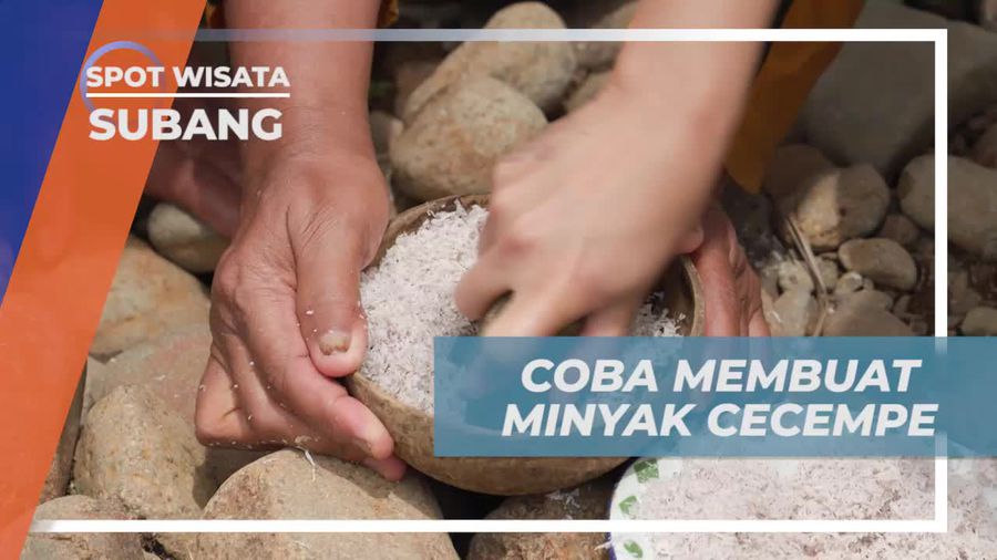 Membuat Minyak Cecempe Secara Tradisional Bersama Warga di Desa Cibuluh, Subang