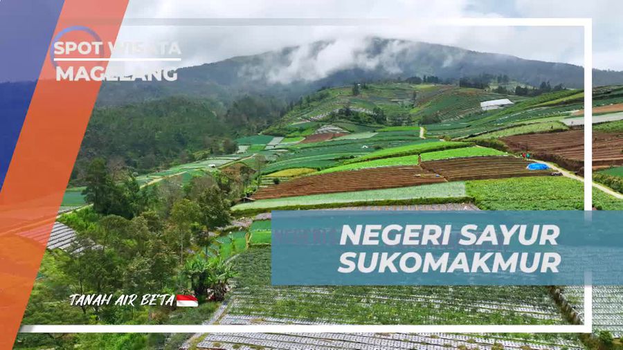 Mengunjungi Negeri Sayur SukoMakmur di Magelang dan Menikmati Pemandangan Sejuknya  