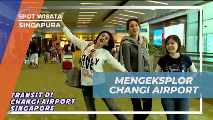 Mengeksplorasi Keindahan Changi Airport di Singapura Sebelum Menuju Vietnam  