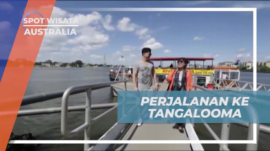 Perjalanan Seru ke Tangalooma Island dengan Kapal dan Menikmati Keindahan Alam di Australia  