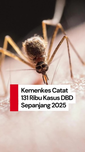 Video: Kemenkes Catat 131 Ribu Kasus DBD Sepanjang 2025