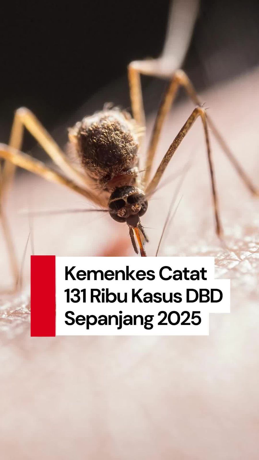 Video: Kemenkes Catat 131 Ribu Kasus DBD Sepanjang 2025