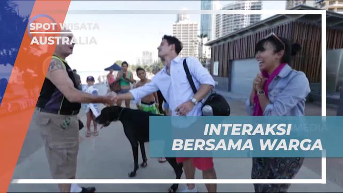Berinteraksi Seru Bersama Warga dan Bermain dengan Anjing Besar di Gold Coast, Australia