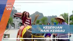 Menikmati Pengalaman Pertama Naik Kerbau dan Jalan-Jalan Liar di Vietnam  