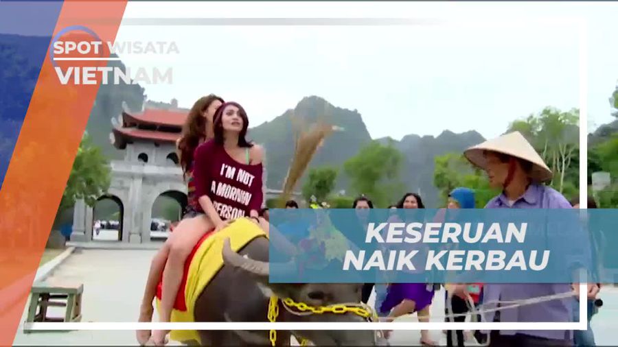 Menikmati Pengalaman Pertama Naik Kerbau dan Jalan-Jalan Liar di Vietnam  