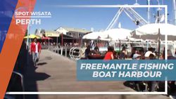 Jalan-Jalan di Fremantle Fishing Boat Harbour di Perth yang Penuh Keunikan  