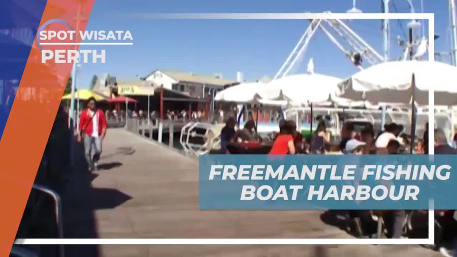Jalan-Jalan di Fremantle Fishing Boat Harbour di Perth yang Penuh Keunikan  