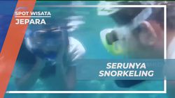 Menyelami Pengalaman Snorkeling Seru dengan Boat Menuju Spot di Jepara