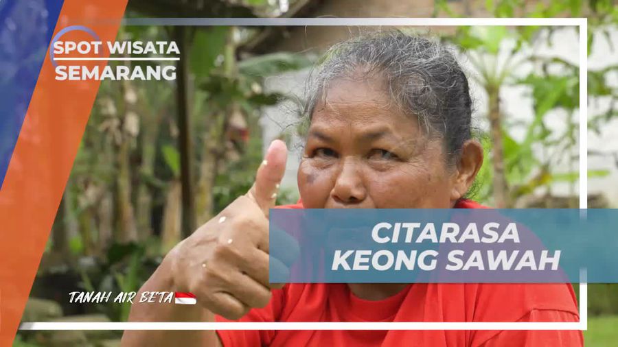 Menikmati Citarasa Keong Sawah yang Kenyal, Pedas, dan Gurih di Banyubiru, Semarang  