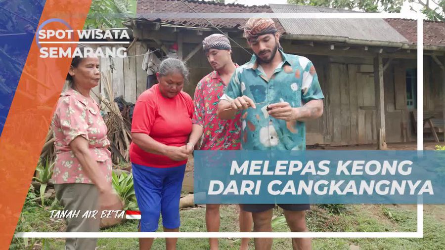 Melepas Keong dari Cangkangnya Menggunakan Sumpit Kayu Sebelum Memasak di Banyubiru, Semarang  