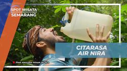Menikmati Citarasa Manis dan Gurih Air Nira dari Desa Banyubiru, Semarang  