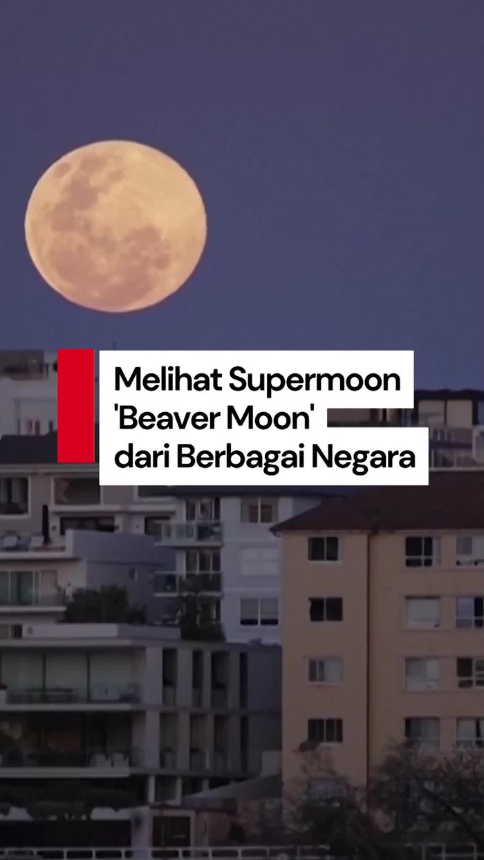 Video: Fenomena Supermoon Beaver Moon di Berbagai Negara