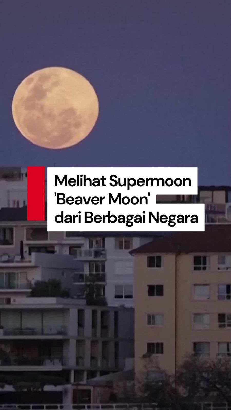 Video: Fenomena Supermoon Beaver Moon di Berbagai Negara