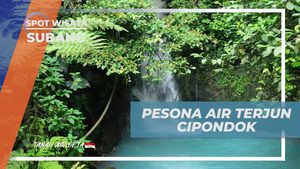 Menikmati Pesona Alam Air Terjun Cipondok yang Menakjubkan di Subang  