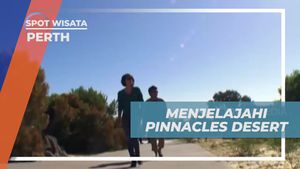 Menjelajahi Keindahan Pinnacles Desert dan Menyaksikan Pesona Alam di Perth, Australia