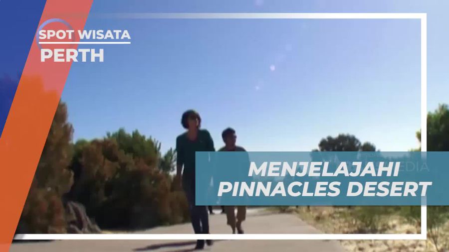 Menjelajahi Keindahan Pinnacles Desert dan Menyaksikan Pesona Alam di Perth, Australia