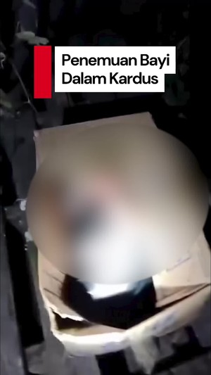 Video: Heboh Penemuan Bayi Dalam Kardus di Poskamling Praya Lombok Tengah