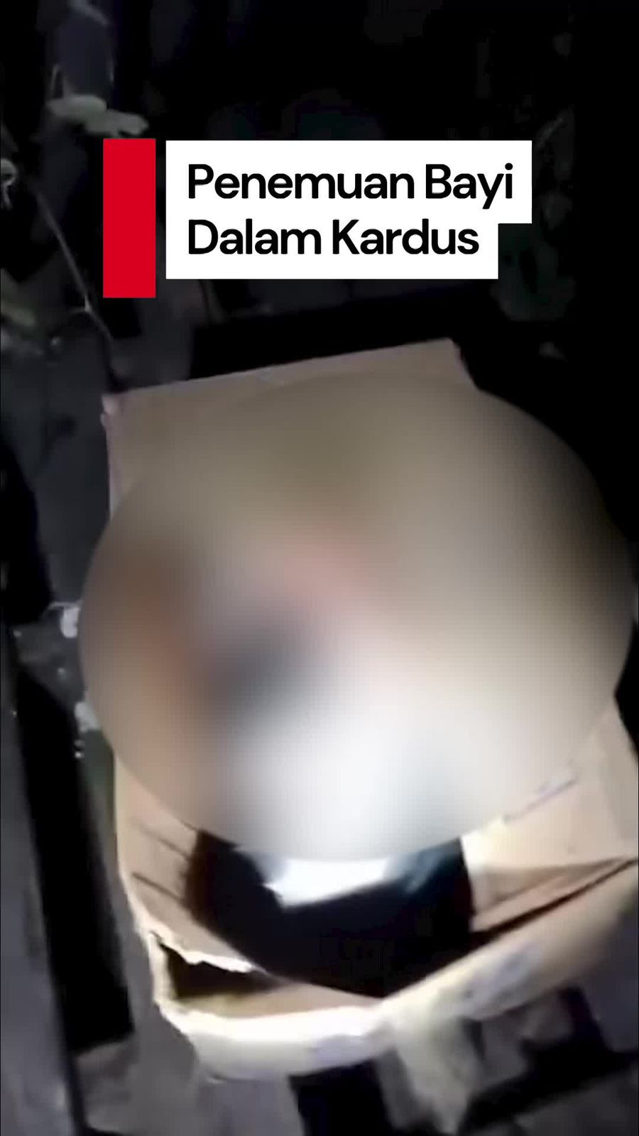 Video: Heboh Penemuan Bayi Dalam Kardus di Poskamling Praya Lombok Tengah