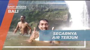 Menikmati Segarnya Berenang di Air Terjun Bali Bersama Kru Celebrity on Vacation  