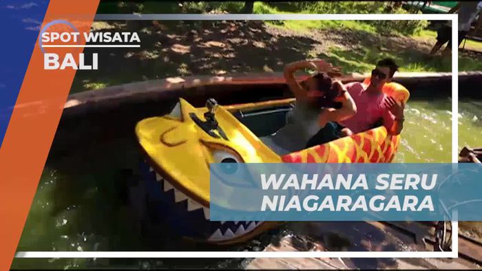 Menyaksikan Kejenakaan Gajah yang Usil di Bali Safari & Marine Park  