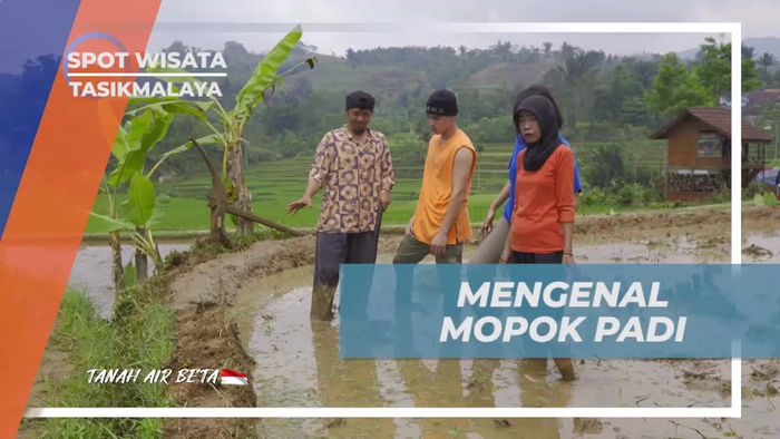 Mengenal Fungsi Mopok Padi dalam Membuat Pematang di Tasikmalaya  