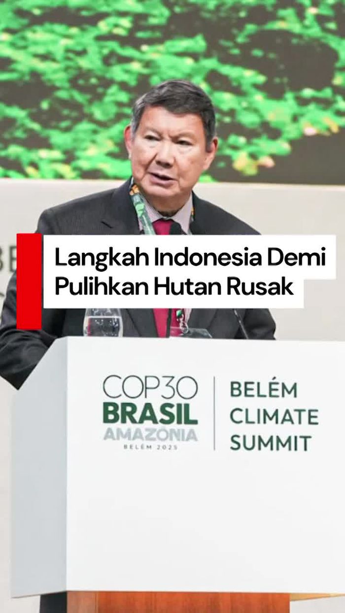 Video: Prabowo Gelontorkan Rp 16,7 T Demi Cegah-Pulihkan Hutan Rusak