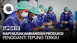 Video: Napi Nusakambangan Bisa Produksi MOCAF, Ini Harapan Menteri Imipas