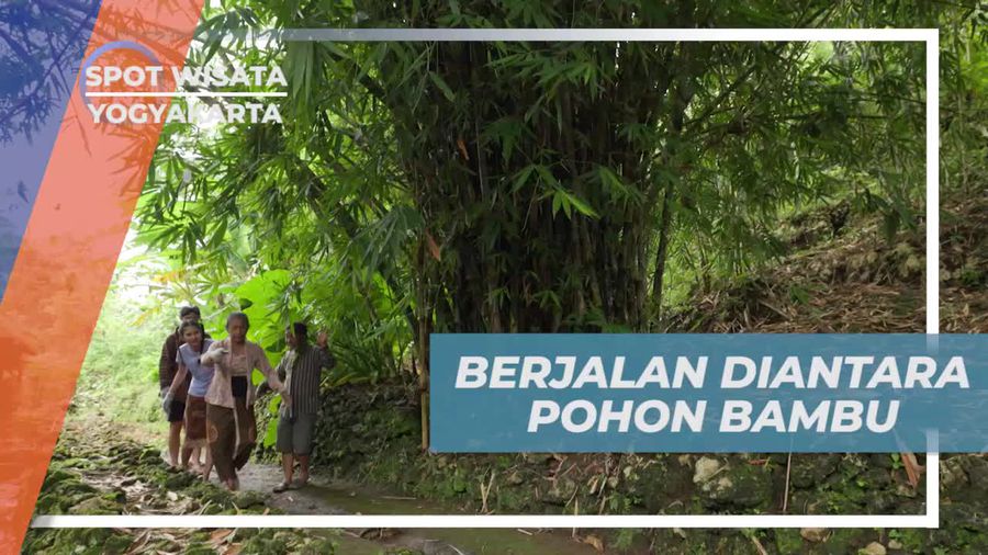 Berjalan Menyusuri Pohon Bambu dan Berburu Tokek di Desa Kapek Yogyakarta  