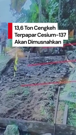 Video KLH: 13,6 Ton Cengkeh Terpapar Cesium-137 Segera Dimusnahkan